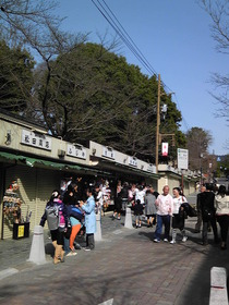 3月14日【奈良公園へ･･･その①】