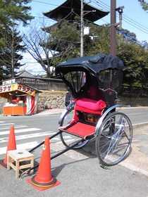 3月14日【奈良公園へ･･･その①】