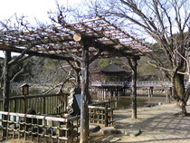 3月14日【奈良公園へ･･･その②】