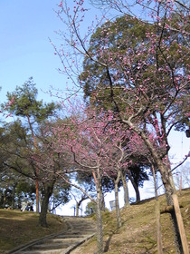 3月14日【奈良公園へ･･･その②】