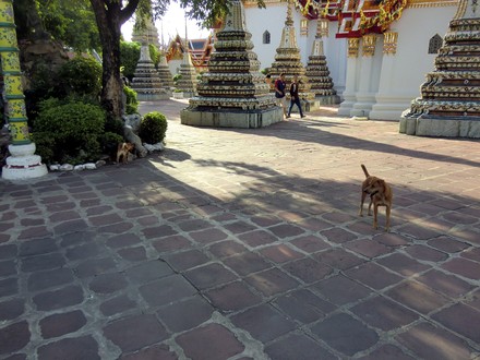 Wat Pho 「本堂？」　（タイ訪問回顧録-15）
