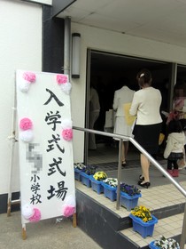 桜咲く･･･