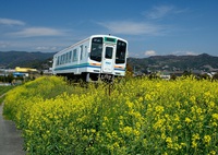 เพลิดเพลินรถไฟสายเทนริวฮามานาโกะกับทิวทัศน์ธรรมชาติ