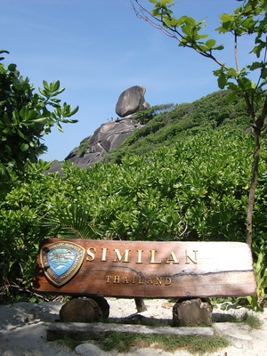 シミラン諸島1日ツアー　-お客様体験談-