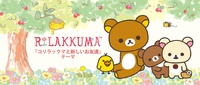 Koguma-chan หมีตัวน้อยเพื่อนใหม่ของ Rilakkuma