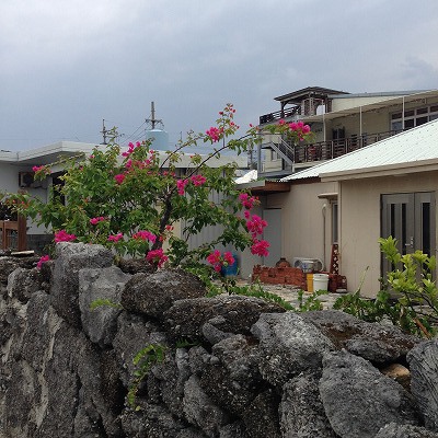 那覇からいける離島・阿嘉島。圧倒的に自然しかない休日を過ごすことができます。景色編 那覇からいける離島・阿嘉島。圧倒的に自然しかない休日を過ごすことができます。景色編