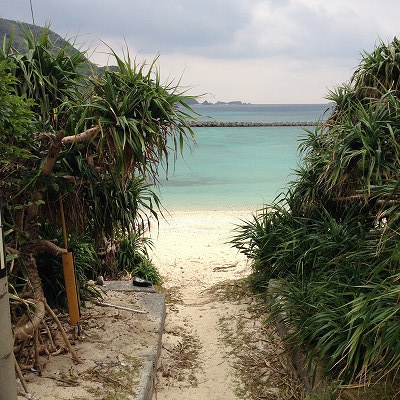 那覇からいける離島・阿嘉島。圧倒的に自然しかない休日を過ごすことができます。景色編 那覇からいける離島・阿嘉島。圧倒的に自然しかない休日を過ごすことができます。景色編