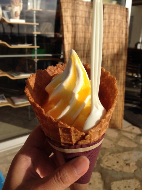 GALA青い海でソフトクリーム食べてきた! GALA青い海でソフトクリーム食べてきた!