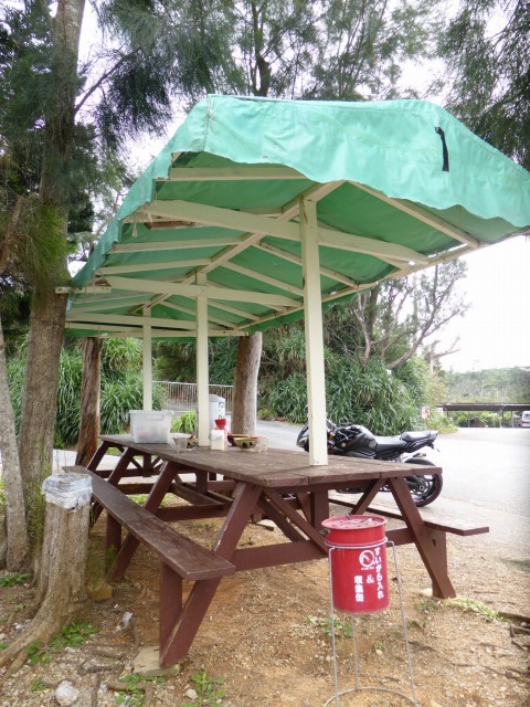 恩納村≪なかむらそば≫あーさが練りこまれた自家製麺の沖縄そばを食べてきた 恩納村≪なかむらそば≫あーさが練りこまれた自家製麺の沖縄そばを食べてきた
