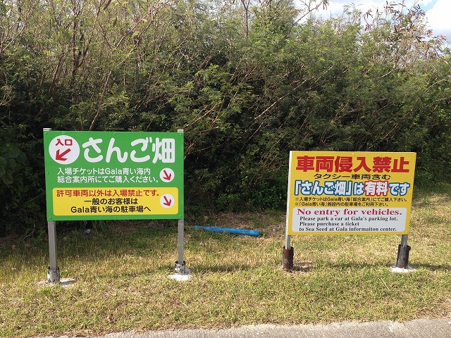 読谷 《さんご畑》 読谷にあるさんごの施設できれいなさんごを見てきた 読谷 《さんご畑》 読谷にあるさんごの施設できれいなさんごを見てきた