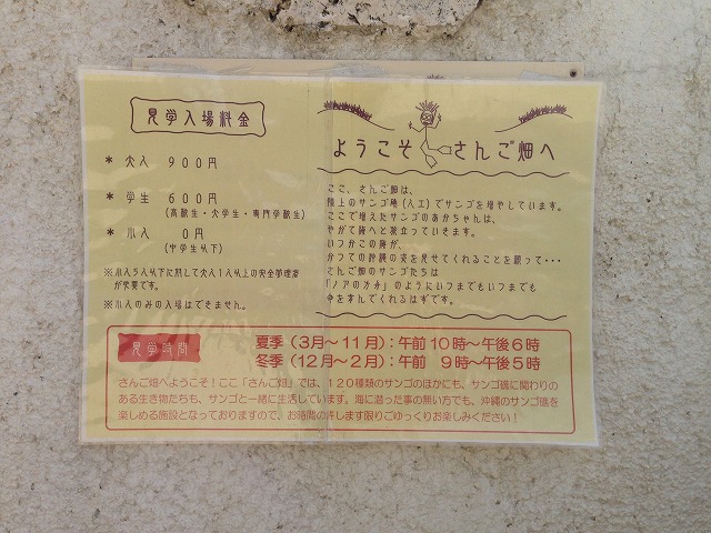 読谷 《さんご畑》 読谷にあるさんごの施設できれいなさんごを見てきた 読谷 《さんご畑》 読谷にあるさんごの施設できれいなさんごを見てきた