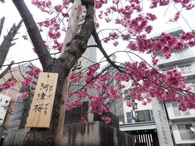 福岡・博多 《櫛田神社》 見どころたくさんの神社を観光してきた 福岡・博多 《櫛田神社》 見どころたくさんの神社を観光してきた