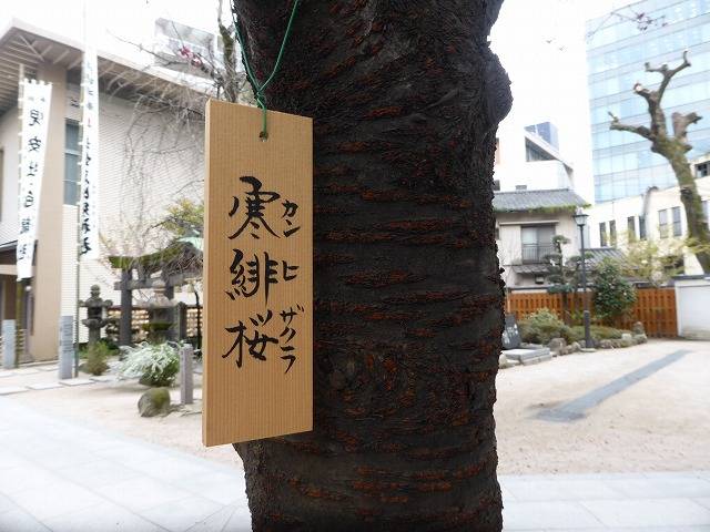 福岡・博多 《櫛田神社》 見どころたくさんの神社を観光してきた 福岡・博多 《櫛田神社》 見どころたくさんの神社を観光してきた