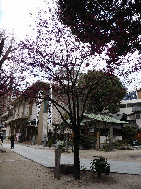 福岡・博多 《櫛田神社》 見どころたくさんの神社を観光してきた 福岡・博多 《櫛田神社》 見どころたくさんの神社を観光してきた