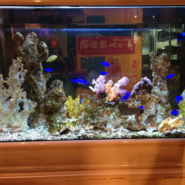 石垣島 《焼肉 石垣島きたうち牧場 美崎店》 石垣島で育てられた和牛をたらふく食べてきた! 石垣島 《焼肉 石垣島きたうち牧場 美崎店》 石垣島で育てられた和牛をたらふく食べてきた!