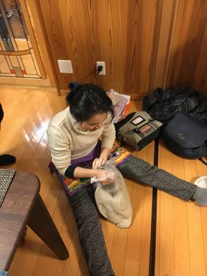 การทำโซบะ 「蕎麦作り方」 การทำโซบะ 「蕎麦作り方」