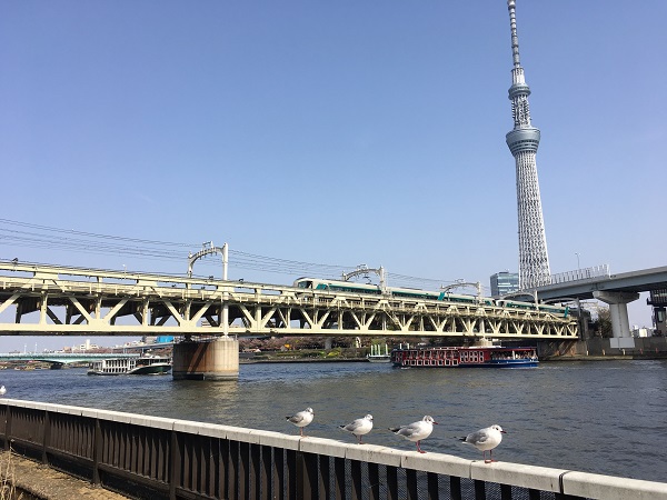 Japan Trip Spring 2018 : Ep02 Asakusa again and again... ^^