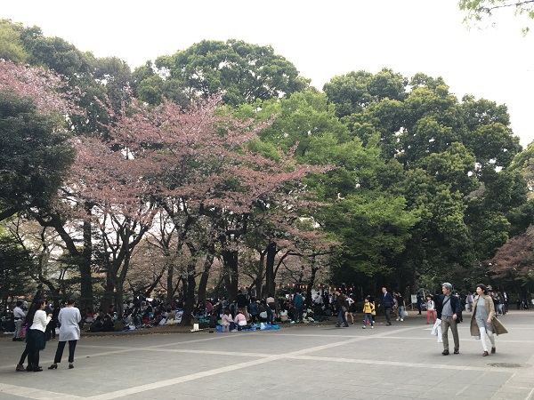 Japan Trip Spring 2018 : Ep03 ตะลุยไปในย่านอุเอโนะ (Ueno)