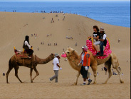 Tottori_ทะเลทรายแห่งนึงในญี่ปุ่น