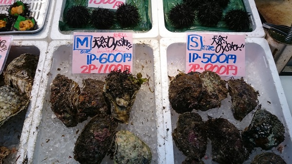 อร่อยเหาะพร้อมทาน! ร้านขายปลานิชิคาวะ แห่งตลาดคุโระมง อร่อยเหาะพร้อมทาน! ร้านขายปลานิชิคาวะ แห่งตลาดคุโระมง